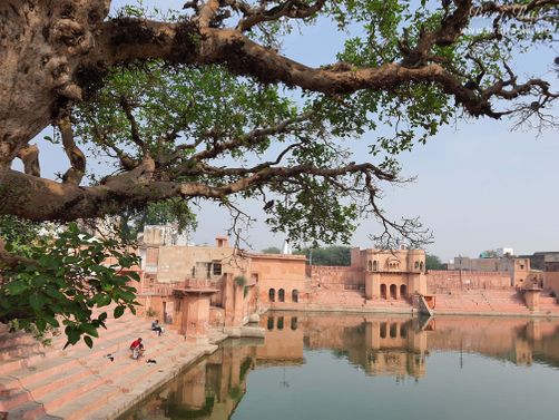 Glimpses of Vimala Kund, Kamyavana.