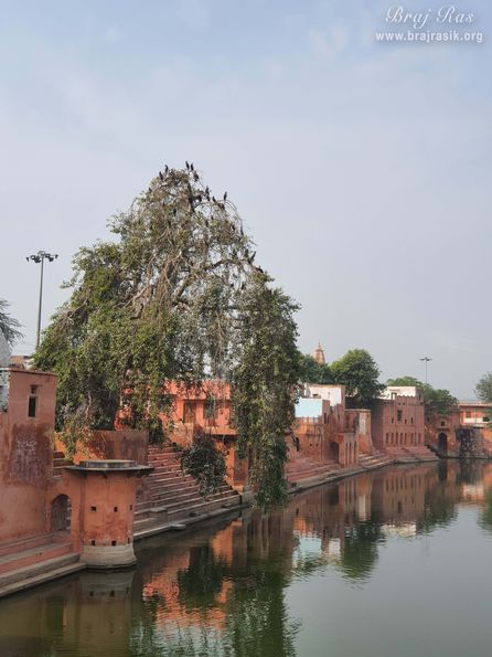 Wideangle View of Vimal Kund, Kamyavana.