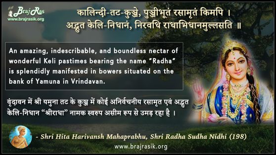 कालिन्दी-तट-कुञ्जे - श्री हित हरिवंश महाप्रभु, श्री राधा सुधा निधि (198)