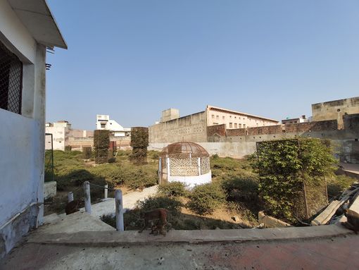 Full view of Kishor Van, Vrindavan.