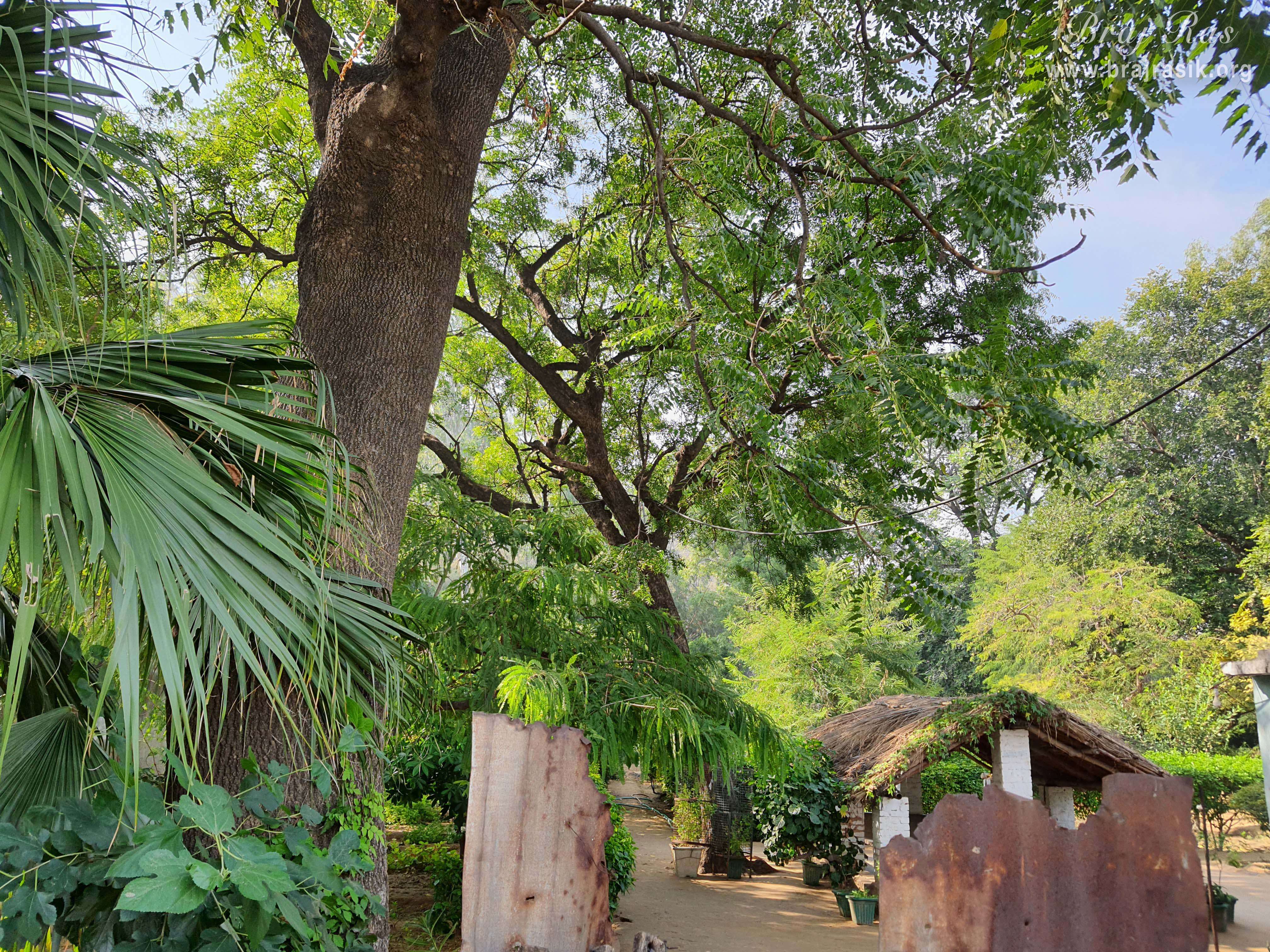 Outerview of Nursery at Barsana.