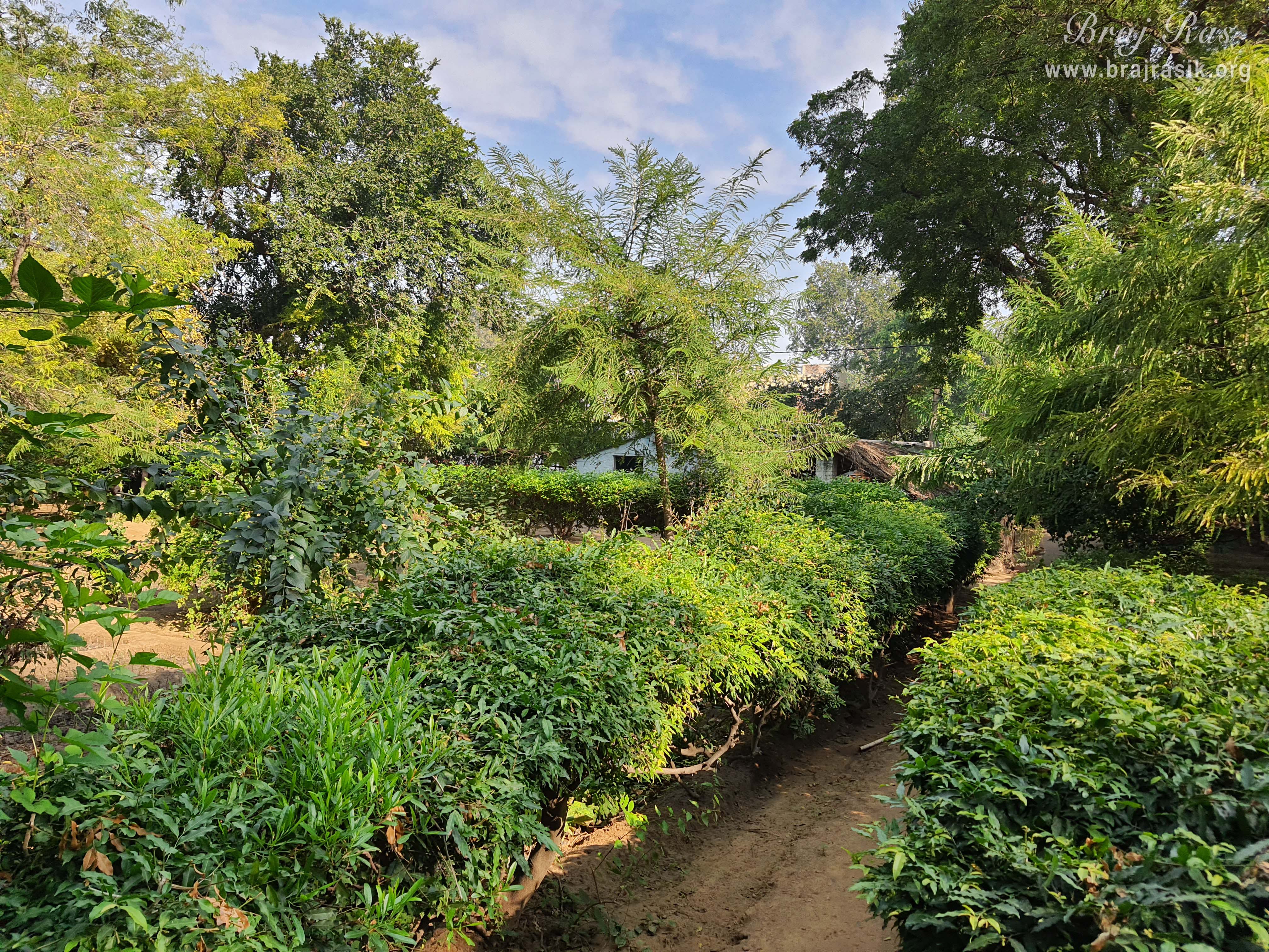 Another view of Nursery at Barsana.