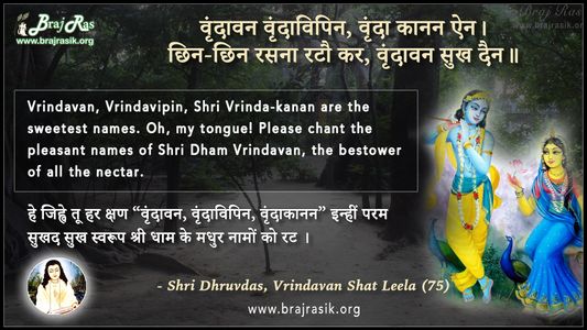 वृंदावन वृंदाविपिन - श्री ध्रुवदास, बयालीस लीला, वृन्दावन शत लीला (75)