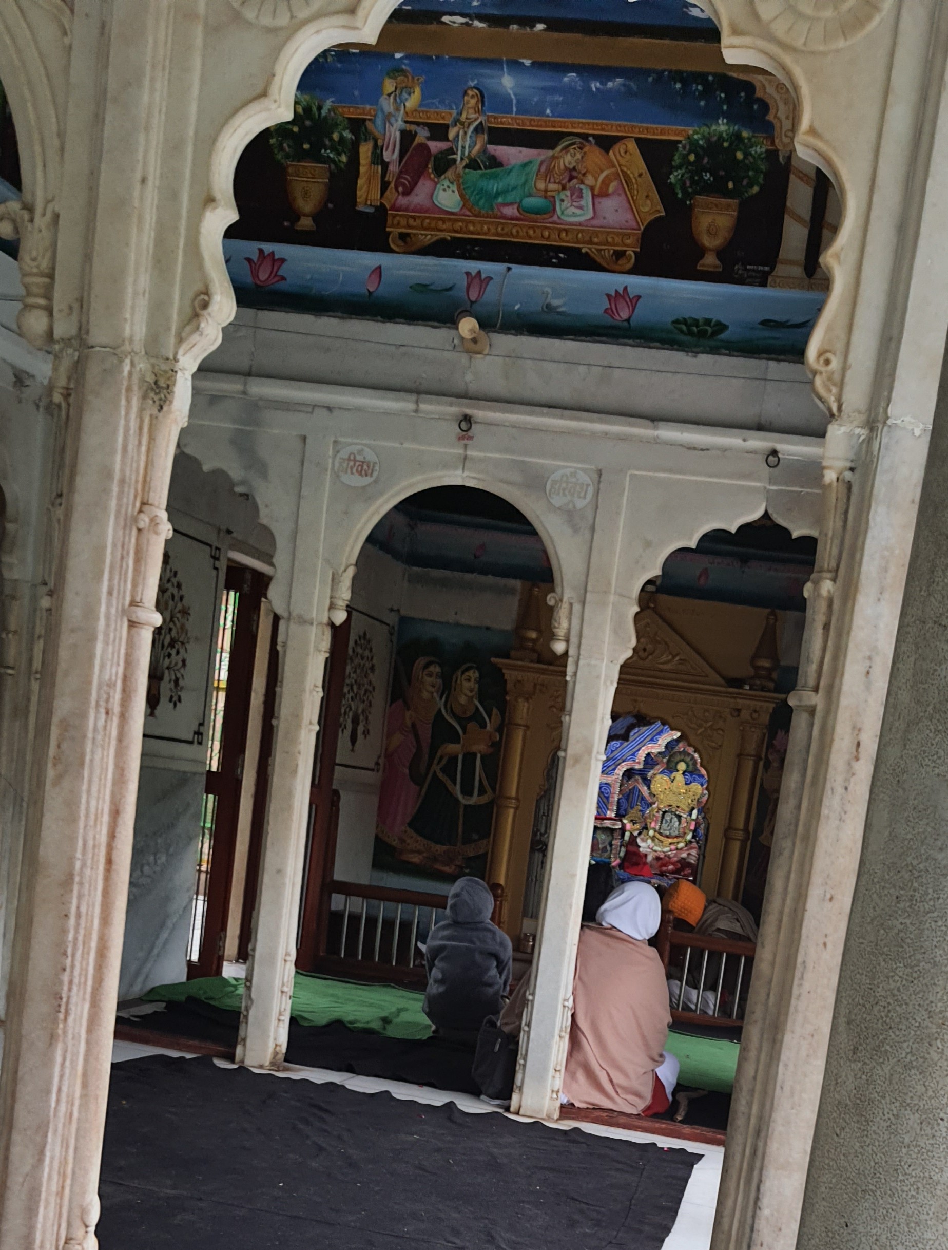 Darshan of Shri Krishn serving Shri Radha at Seva Kunj, Vrindavan.