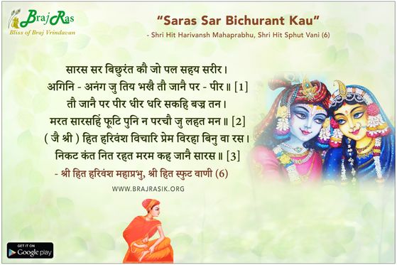 सारस सर बिछुरंत कौ जो पल - श्री हित हरिवंश महाप्रभु, श्री हित स्फुट वाणी (6)
