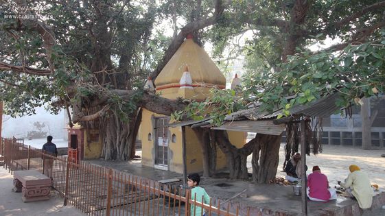 Cross view of Gufeshwar Mahadev temple at Potra Kund, Mathura
