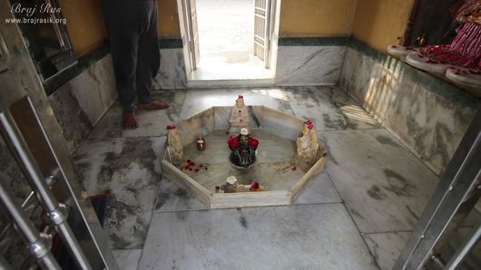 Darshan of Gufeshwar Mahadev at Potra Kund, Mathura