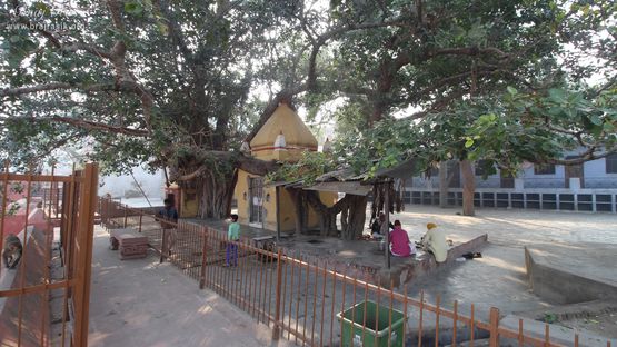 Distant view of tree and temples at Potra Kund, Mathura