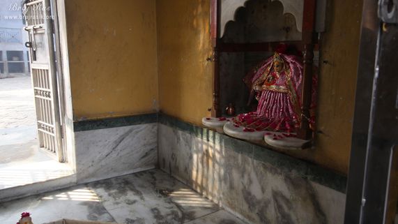 Darshan of Goddess Durga at Potra Kund, Mathura