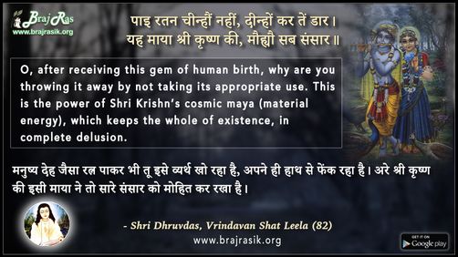 पाइ रतन चीन्हौं नहीं - श्री ध्रुवदास, बयालीस लीला, वृन्दावन शत लीला (82)