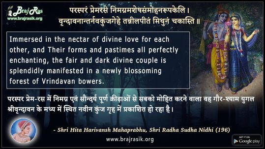 परस्परं प्रेमरसे - श्री हित हरिवंश महाप्रभु, श्री राधा सुधा निधि (196)