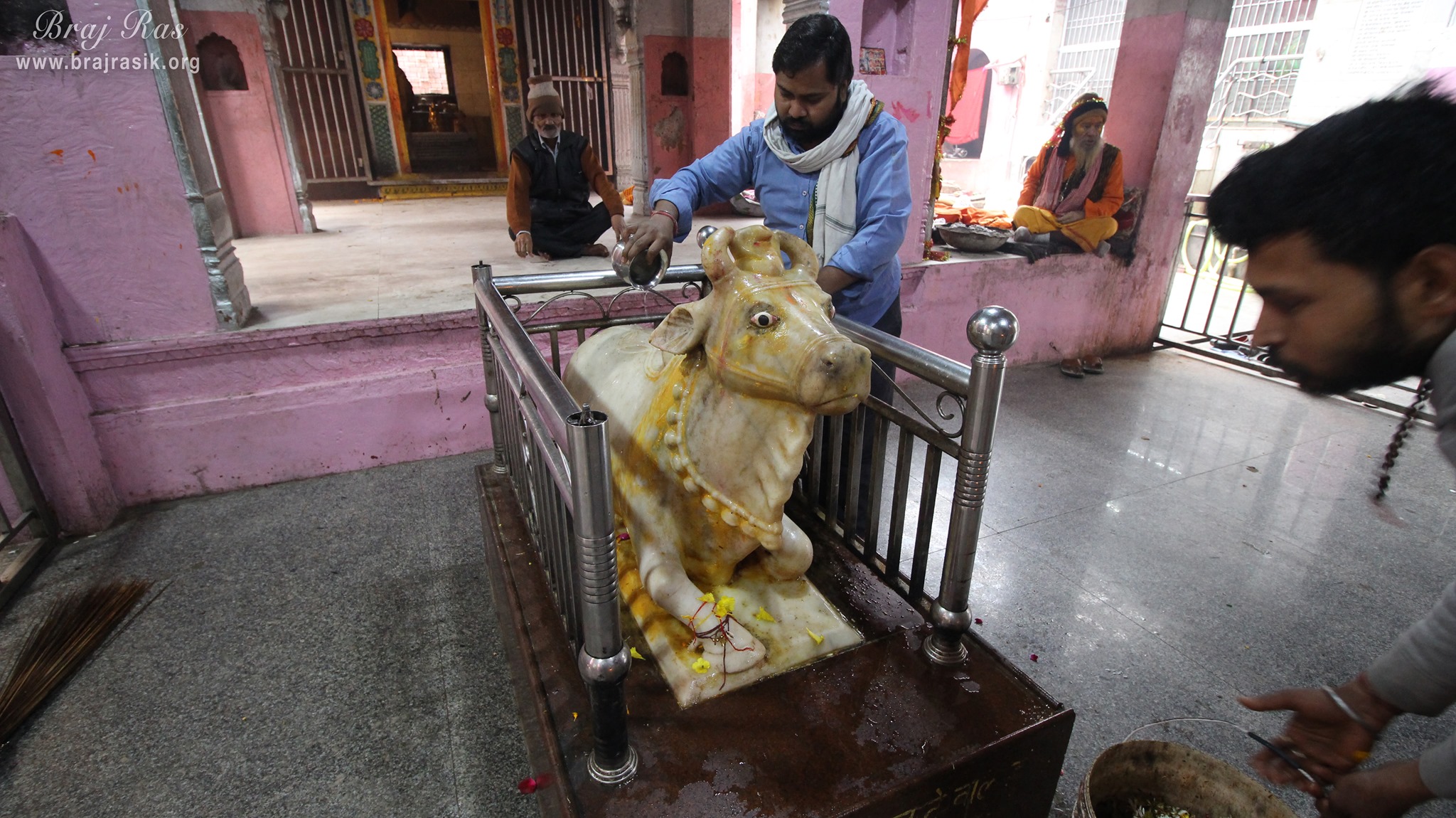 Darshan of Nandi at Sri Rangeshwar Mahadev Temple, Mathura