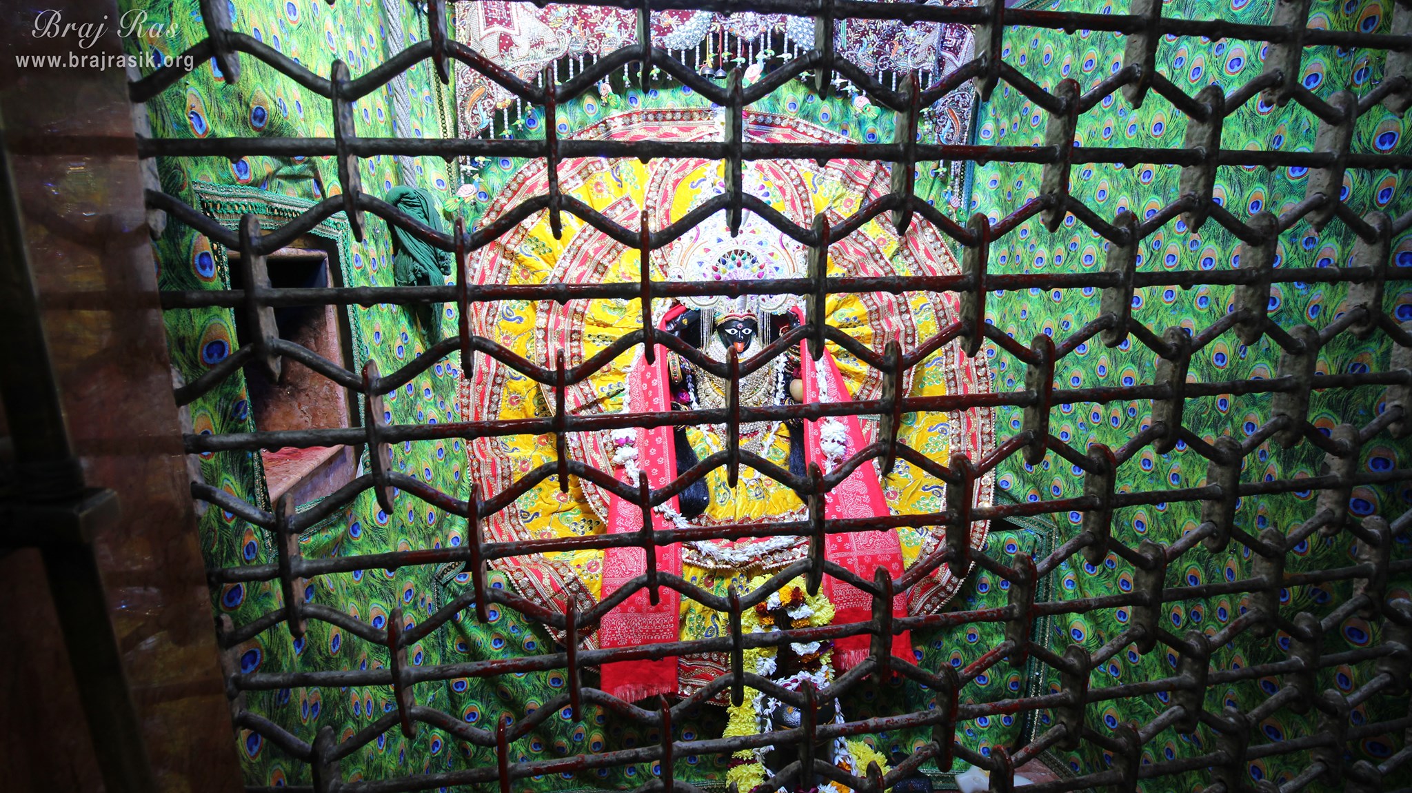 Goddess Kali darshan at Sri Rangeshwar Mahadev, Mathura