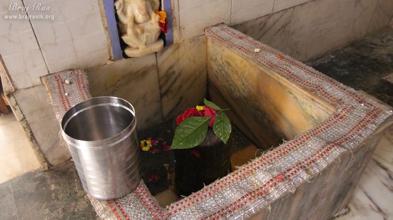 Darshan of Shiv Linga at Shri Gokarneshwar Mahadev, Mathura.