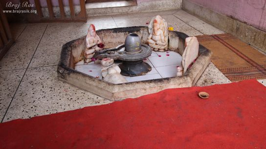 Darshan of Shiva Linga at Shri Dirgh Vishnu Temple, Mathura