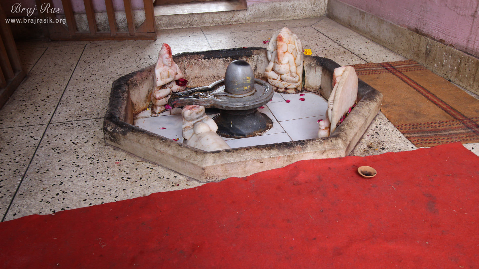 Darshan of Shiva Linga at Shri Dirgh Vishnu Temple, Mathura