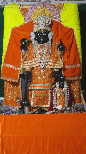 A full darshan of Lord at Shri Dirgh Vishnu Temple, Mathura