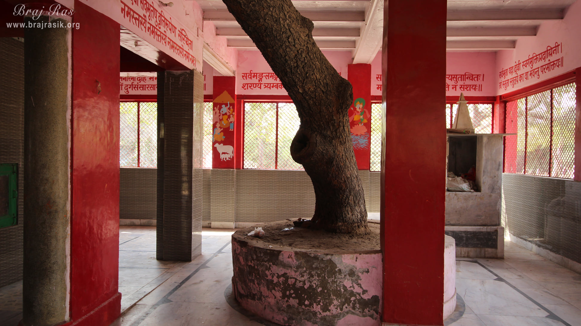 Temple courtyard at Kankali ­Devi Temple, Mathura