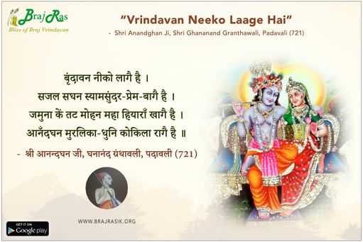 बृंदावन नीको लागै है -  श्री आनन्दघन जी, घनानंद ग्रंथावली, पदावली (721)