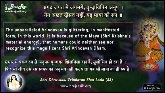 प्रगट जगत में जगमगै - श्री ध्रुवदास जी, बयालीस लीला, वृन्दावन शत लीला (83)