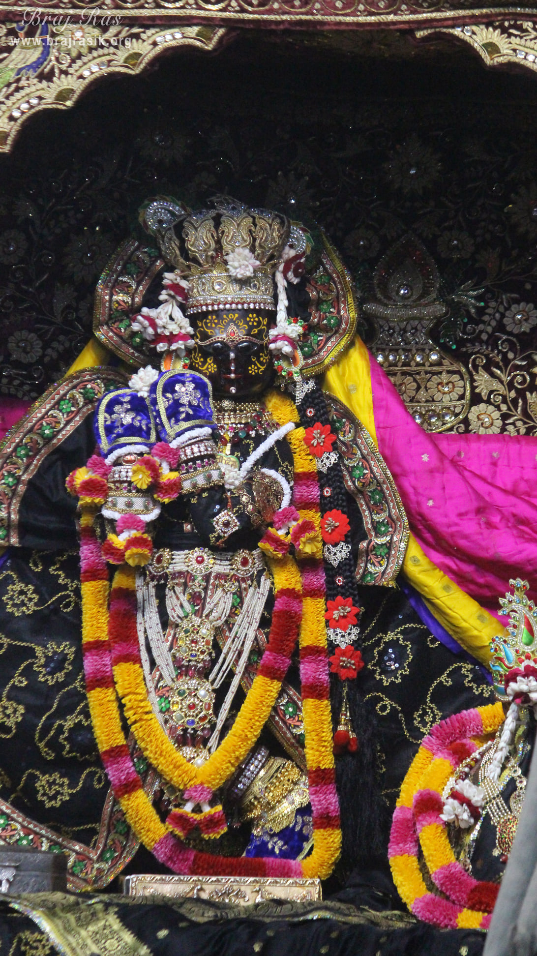 Shri Radha Vallabh's Darshan - Feb 12, 2020