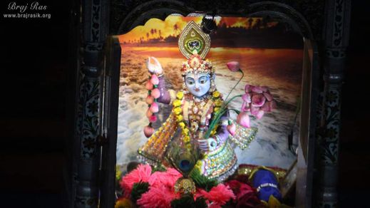 Glimpses of Yamuna, Vrindavan in the form of a deity.