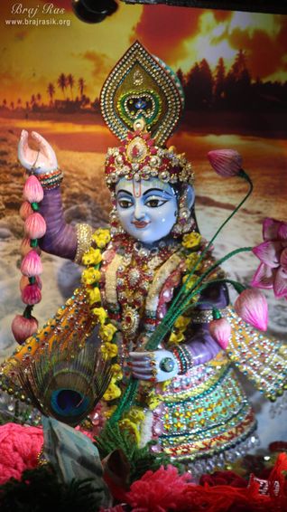 Close-up Glimpses of Yamuna, Vrindavan in the form of a deity.