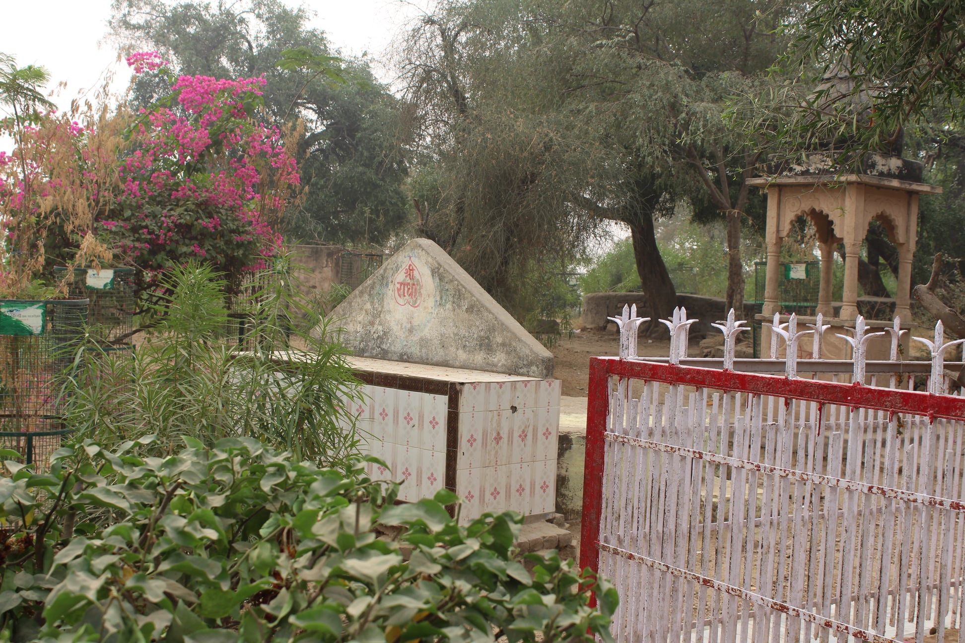 Shri Radha's throne @ Barsana.