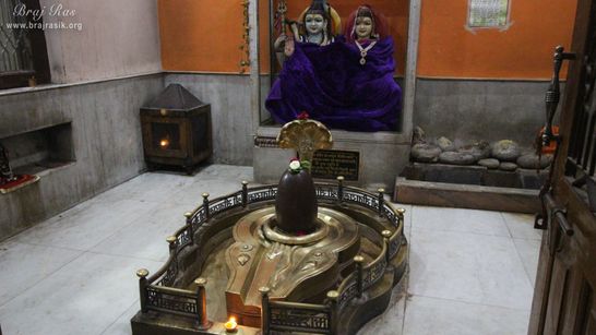 Darshan of Shiva Linga at Sri Malook Peeth, Vrindavan