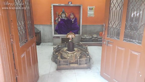 Lord Shiva Parvati and Shiva Linga darshan at Sri Malook Peeth, Vrindavan