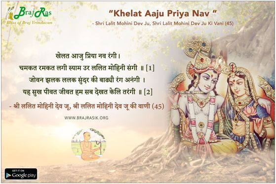 खेलत आजु प्रिया नव - श्री ललित मोहिनी देव जू, श्री ललित मोहिनी देव जू की वाणी (45)