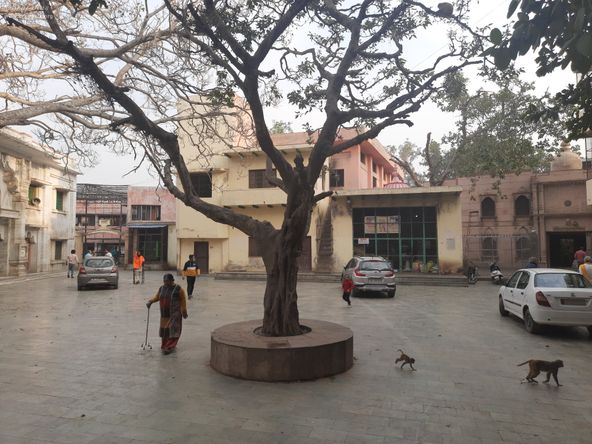 Inside view of Shri Sudama Kuti, Vrindavan