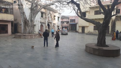 A nice inside view of Shri Sudama Kuti, Vrindavan