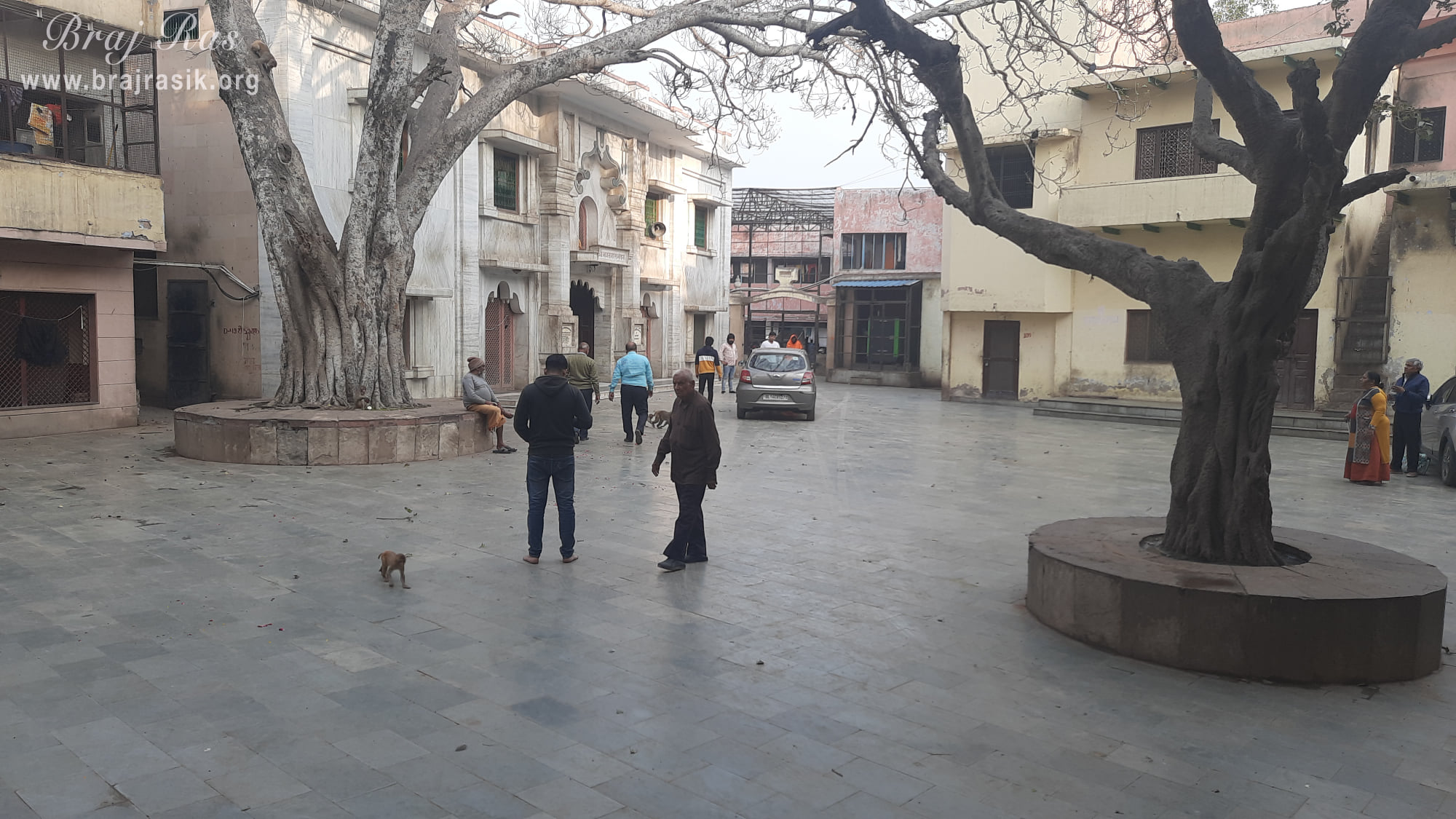 A nice inside view of Shri Sudama Kuti, Vrindavan