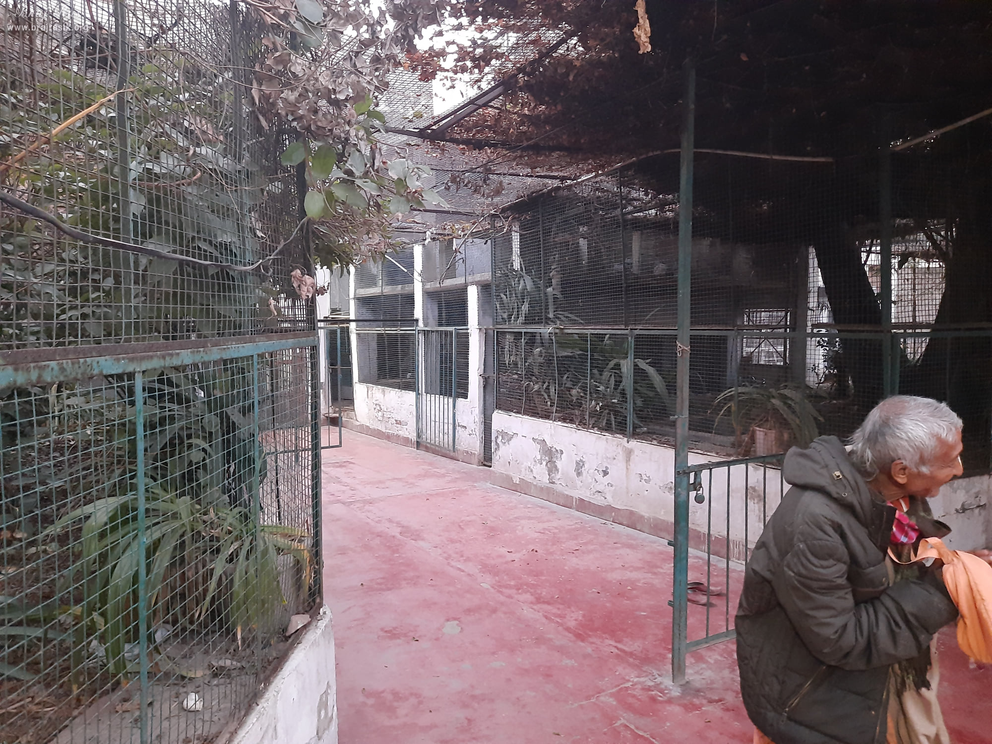 Inside way to Shri Radha Gokulananda Temple, Vrindavan