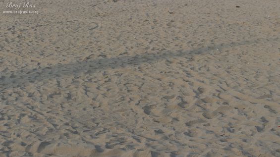 The divine sand at the bank of Yamuna Ji at Vrindavan Kumbh 2021