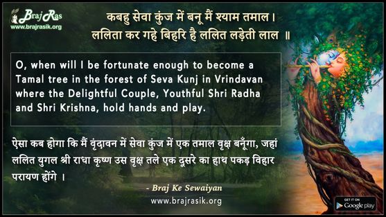 Kabhu Seva Kunj Mein Banun Main Shyam Tamal - Braj Ke Dohe