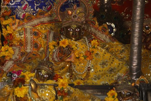 Close darshan of Shri Gopal Ji at Shri Vrindavan Vihari Temple, Vardhman Kunj, Vrindavan