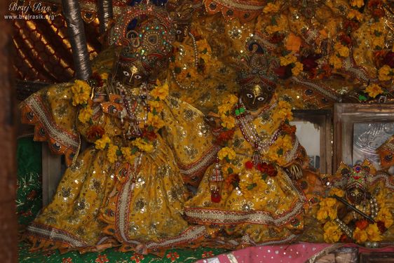 Darshan of Shri Radha Krishna at Shri Vrindavan Vihari Temple, Vardhman Kunj, Vrindavan