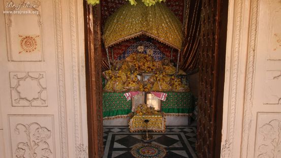 A full darshan of all deities at Shri Vrindavan Vihari Temple, Vardhman Kunj, Vrindavan
