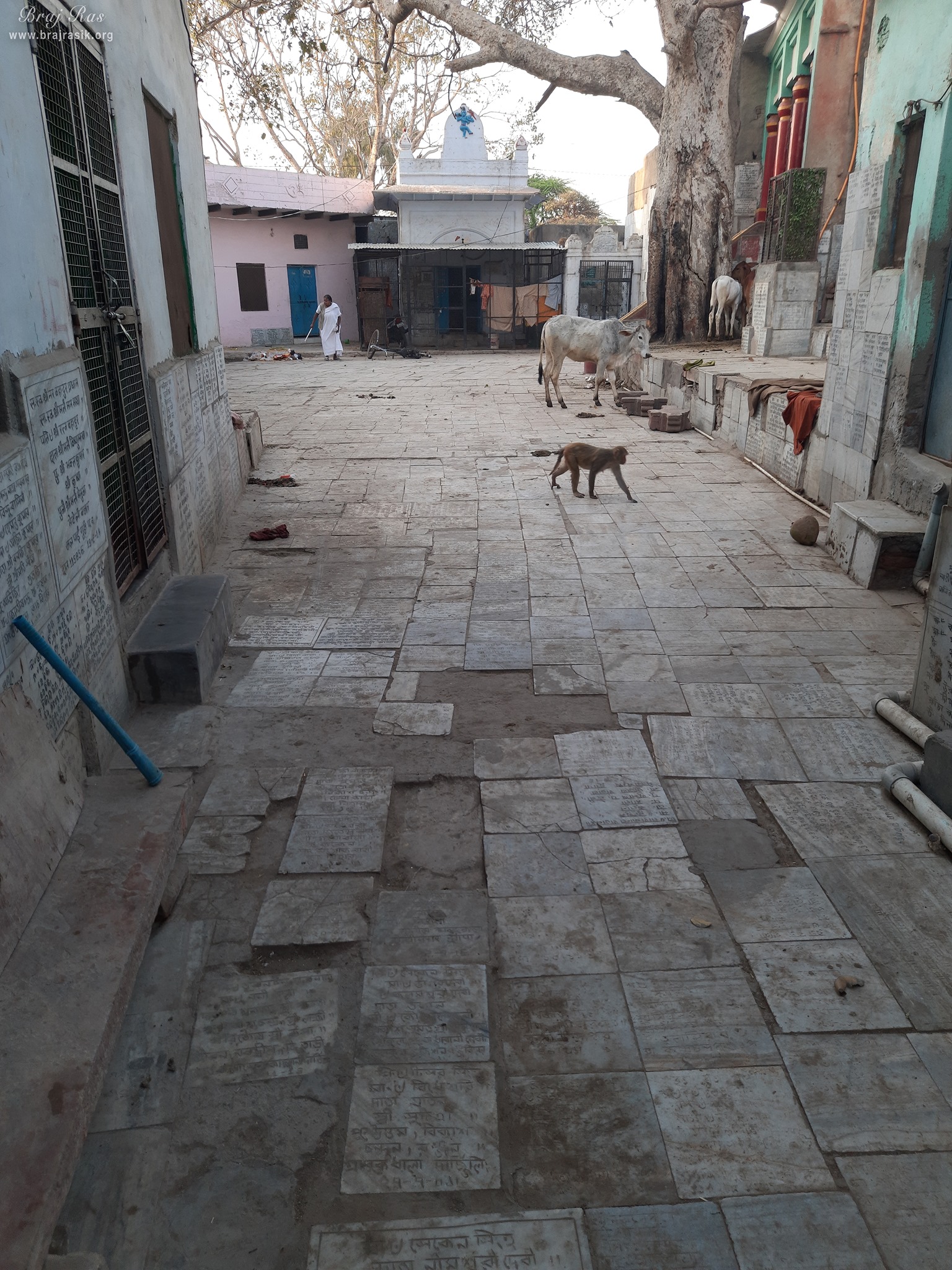 Name written all over the floor of Shri Yugal Kishor Temple, Vrindavan