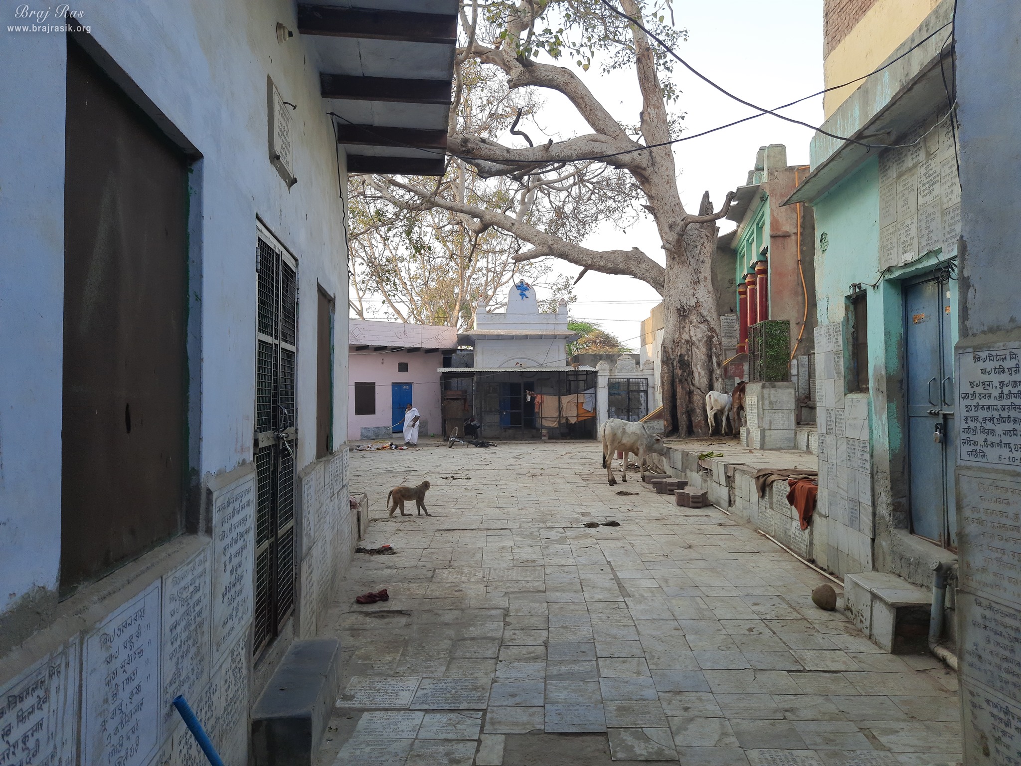 Way to Shri Yugal Kishor Temple, Vrindavan