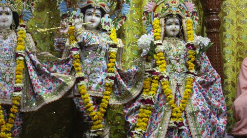 Close darshan of Shri Radha Vinod Bihari Ji at Shri Roop Sanatan Gaudiya Math, Vrindavan