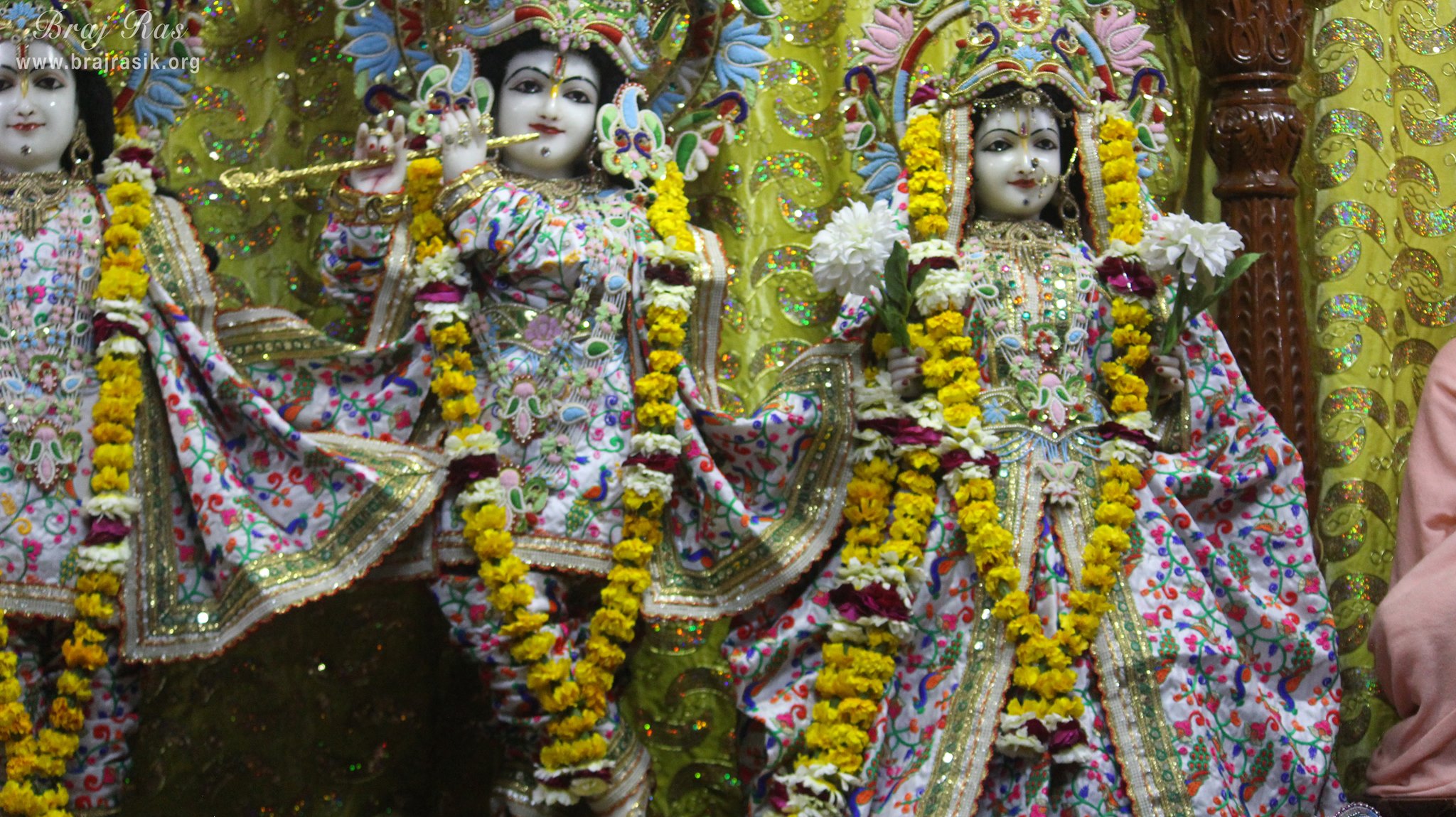 Close darshan of Shri Radha Vinod Bihari Ji at Shri Roop Sanatan Gaudiya Math, Vrindavan