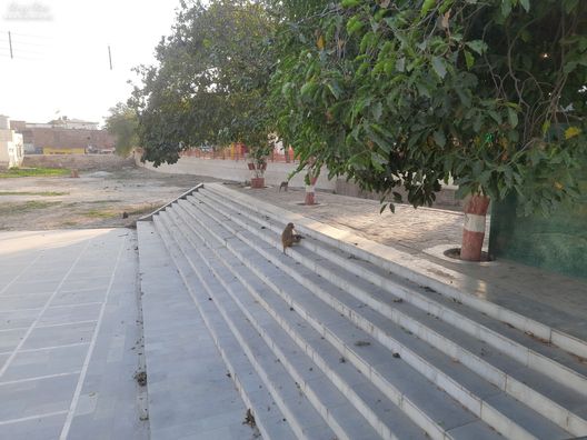 Stairs made for Yamuna Ji at Nikunj Van, Vrindavan
