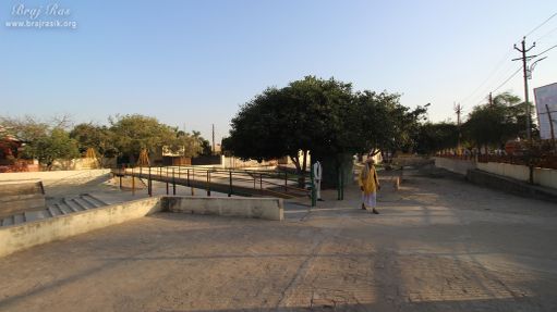 A nice inside view of Nikunj Van, Vrindavan