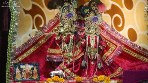 Darshan of Shri Chhain Bihari Ji at Shri Chhain Bihari Kunj, Vrindavan