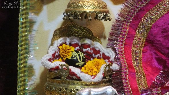 Darshan of Shri Shaligram Ji at Shri Chhain Bihari Kunj, Vrindavan