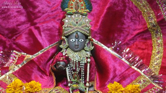 Darshan of Shri Gopal Ji at Shri Chhain Bihari Kunj, Vrindavan