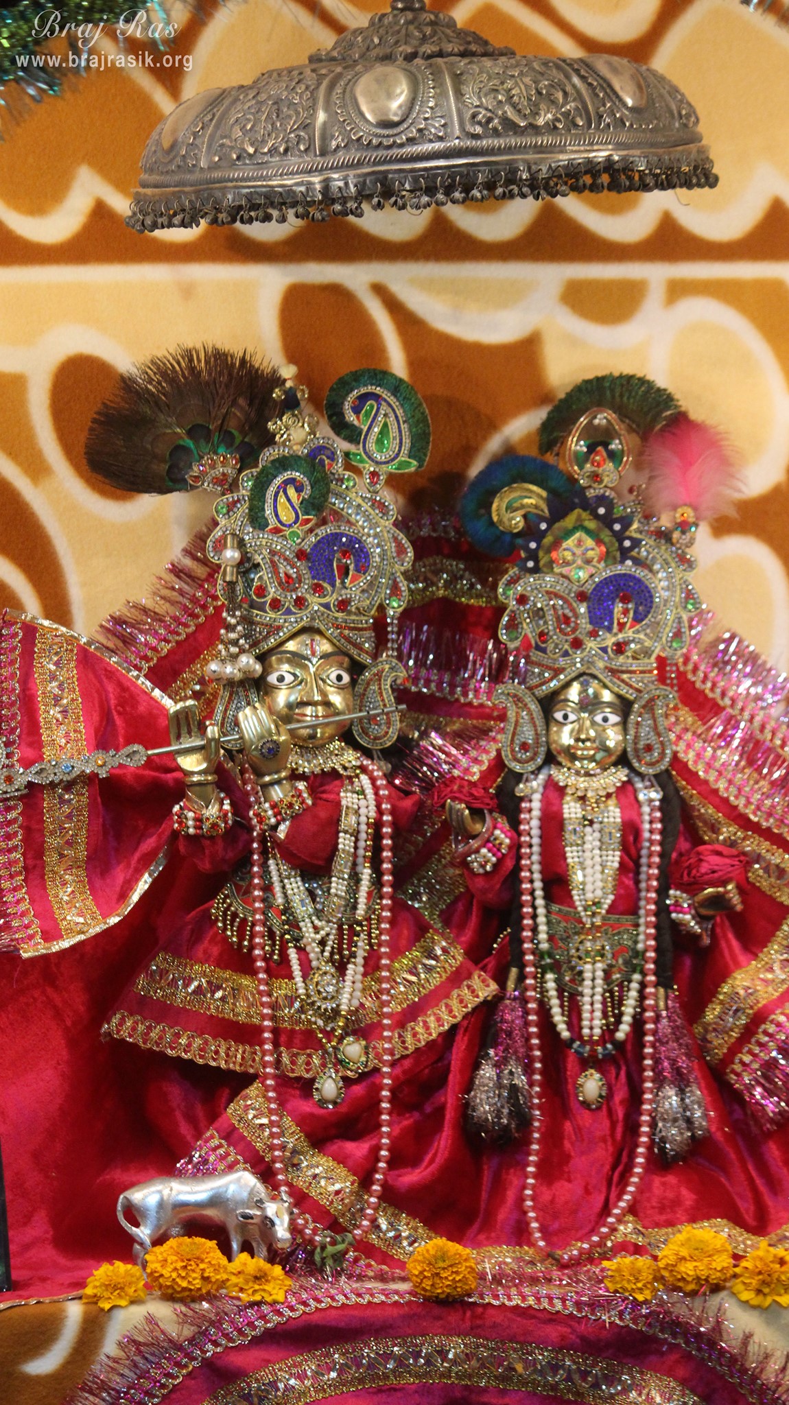 Long darshan of Shri Chain Bihari Ji at Shri Chhain Bihari Kunj, Vrindavan